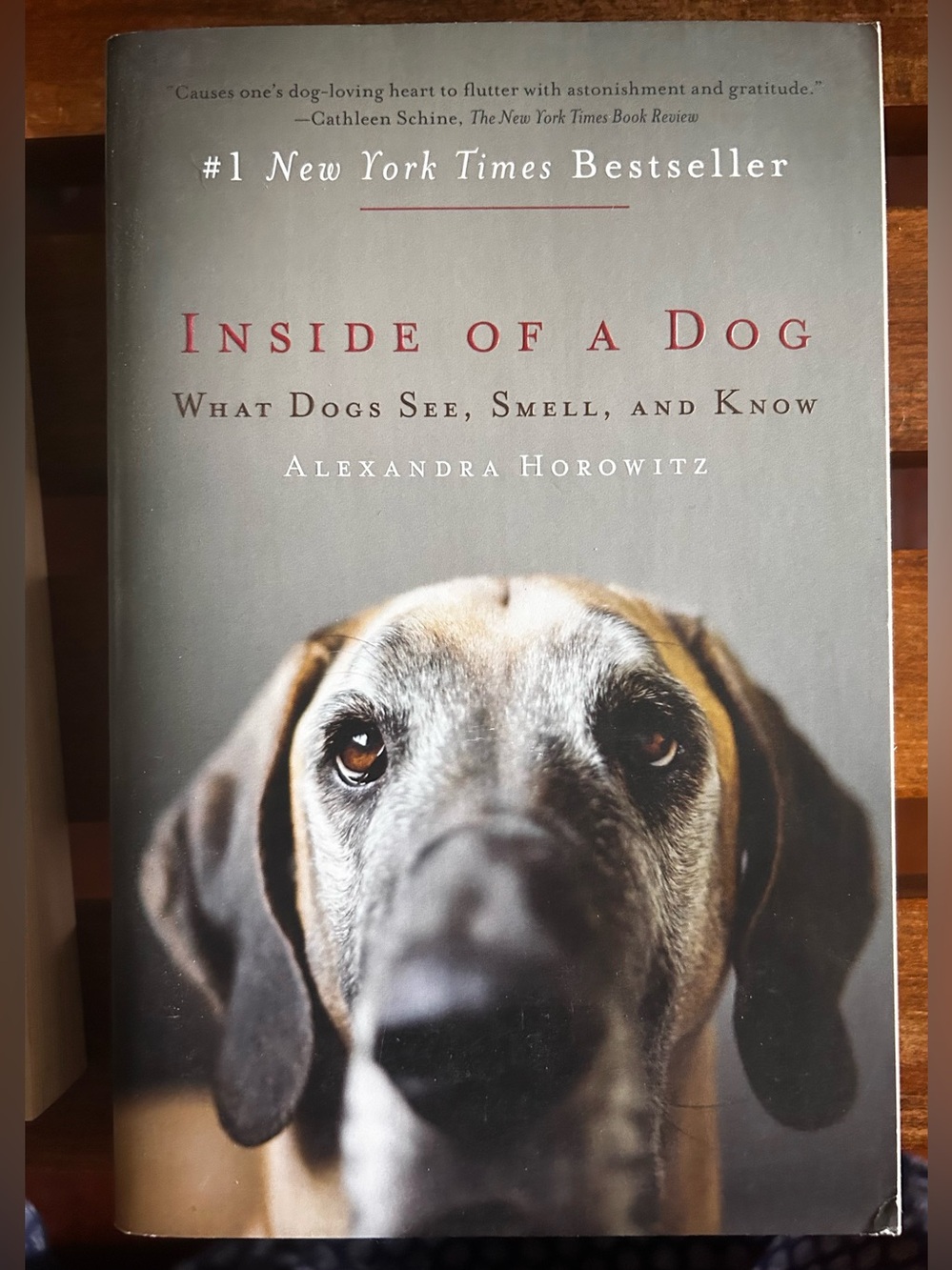 Bundle of 3 dog behaviorism/psychology books, from 3 different perspectives. - Picture 5 of 7